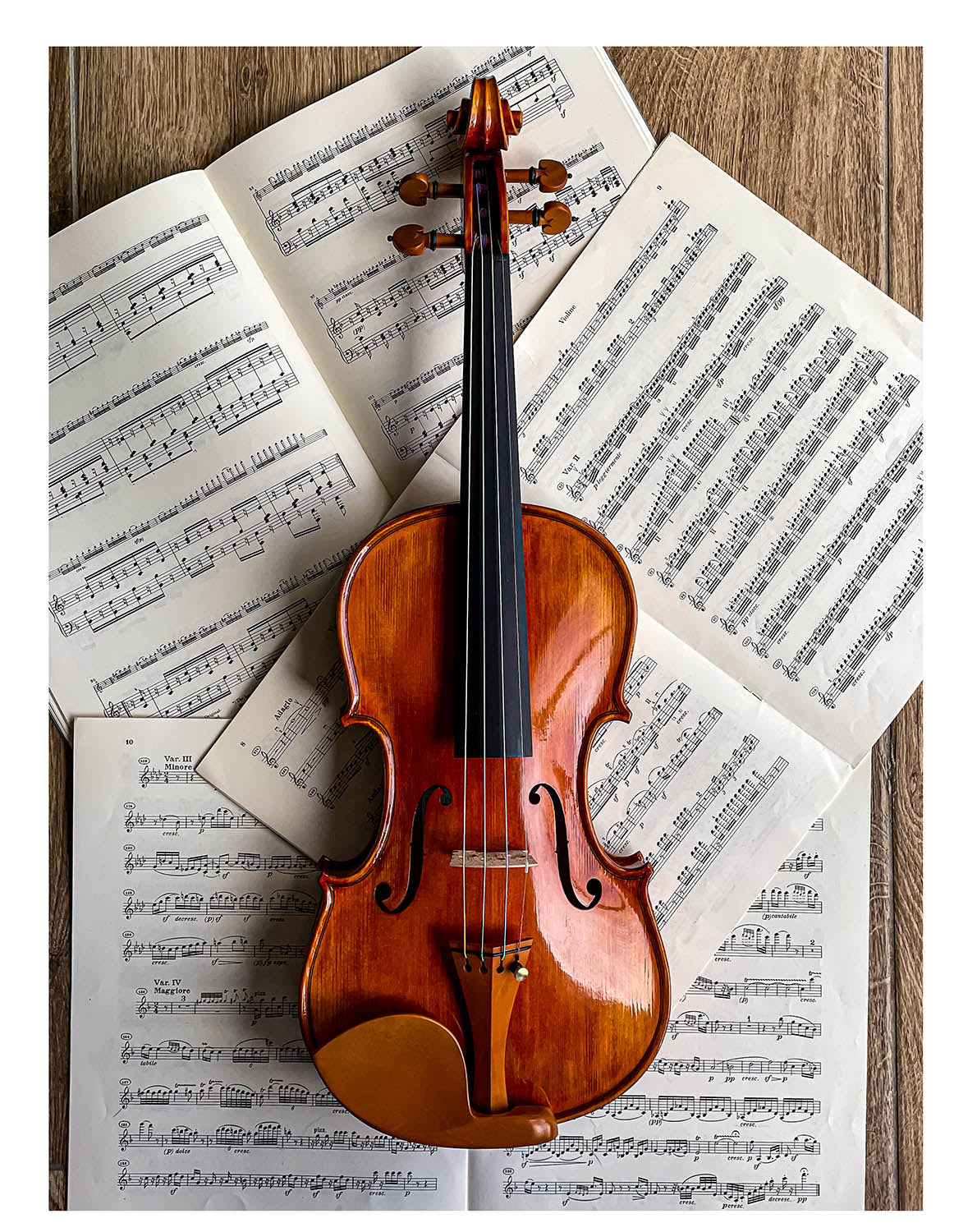 Guarneri Kinnhalter Violine Buchsbaum