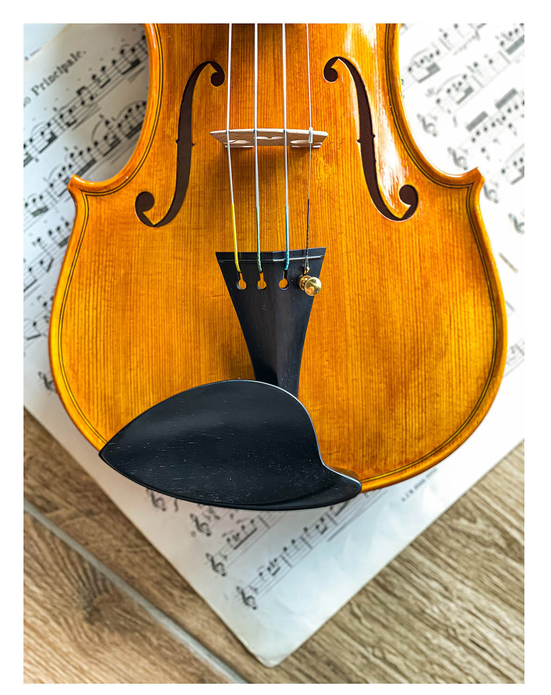 Schulze-Priska Kinnhalter Violine Ebenholz