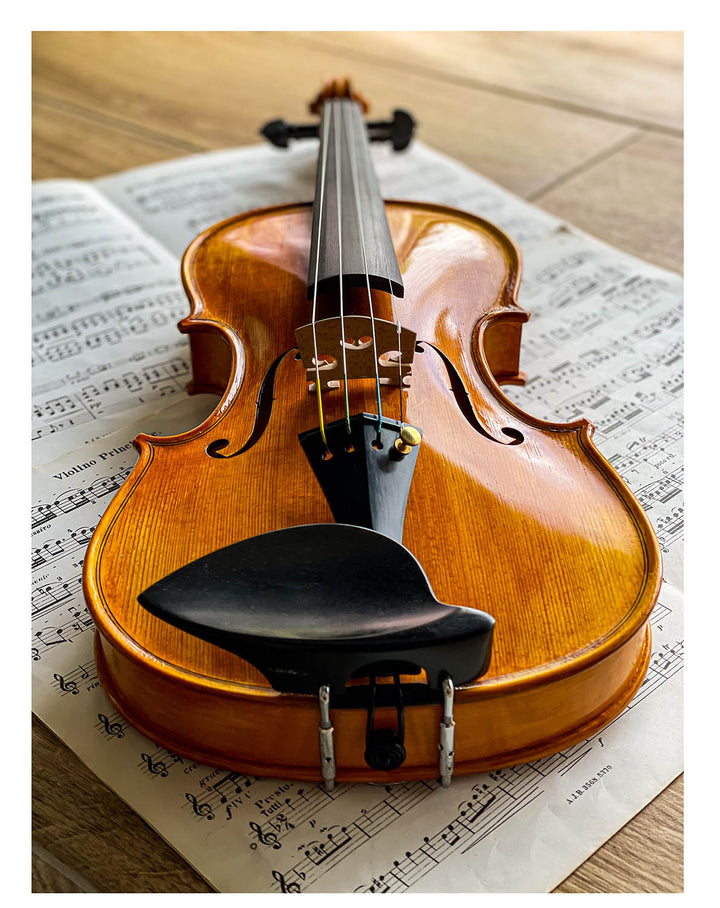Schulze-Priska Kinnhalter Violine Ebenholz