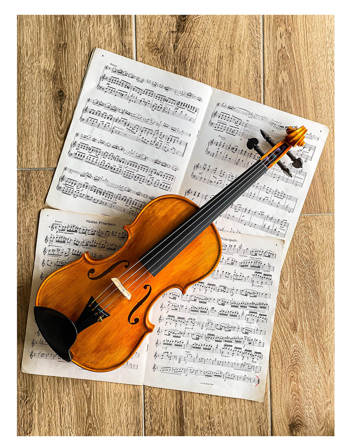 Schulze-Priska Kinnhalter Violine Ebenholz