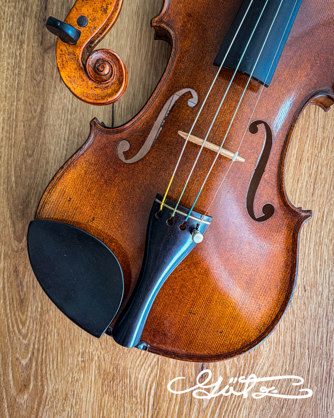 Slim Style Kinnhalter Violine Ebenholz, ZK-256
