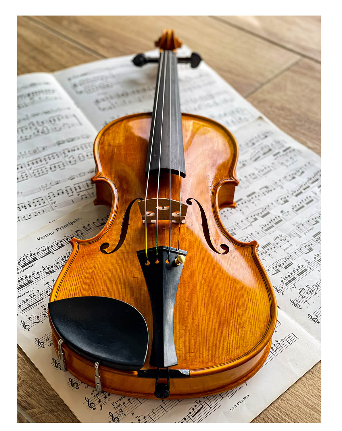 Slim Style Kinnhalter Violine 4/4 Ebenholz
