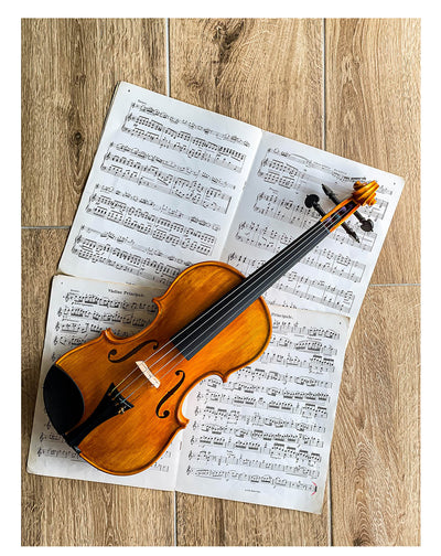 Slim Style Kinnhalter Violine 4/4 Ebenholz