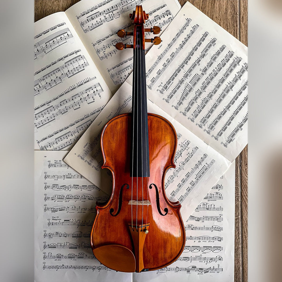 Slim Style Chinrest Violin in Boxwood, ZK-257