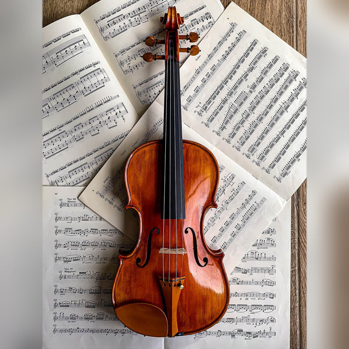 Slim Style Chinrest Violin in Boxwood, ZK-257