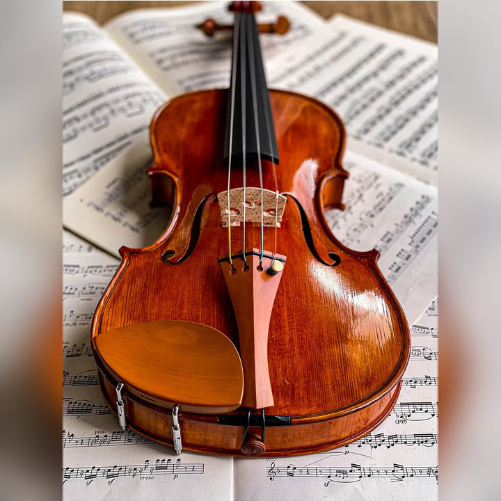 Slim Style Chinrest Violin in Boxwood, ZK-257