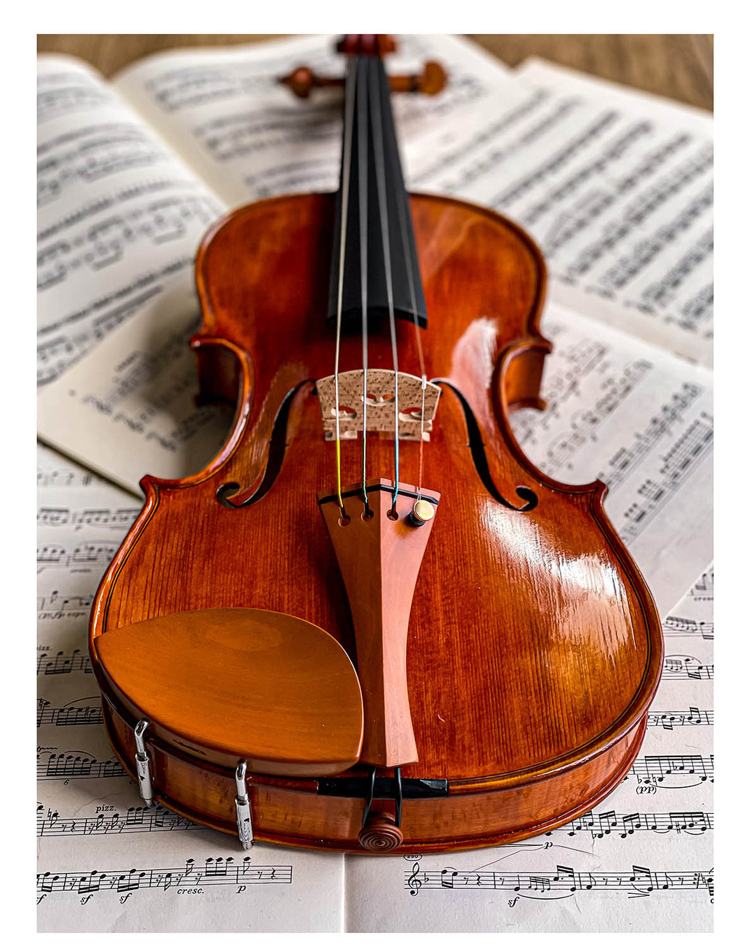 Slim Style Kinnhalter Violine Buchsbaum, ZK-257