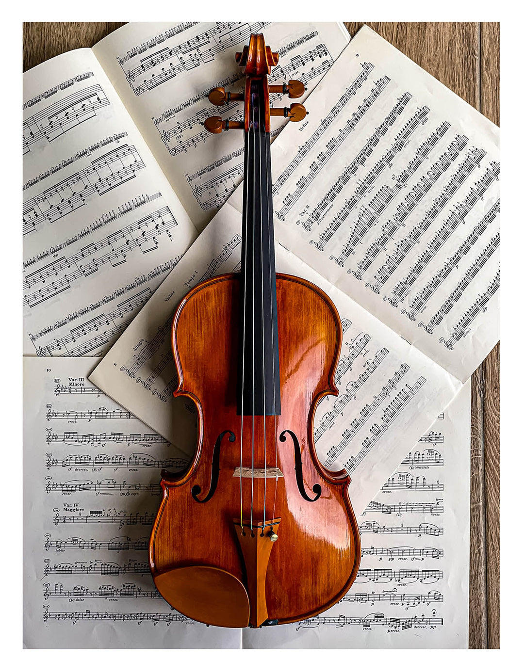Slim Style Kinnhalter Violine Buchsbaum, ZK-257