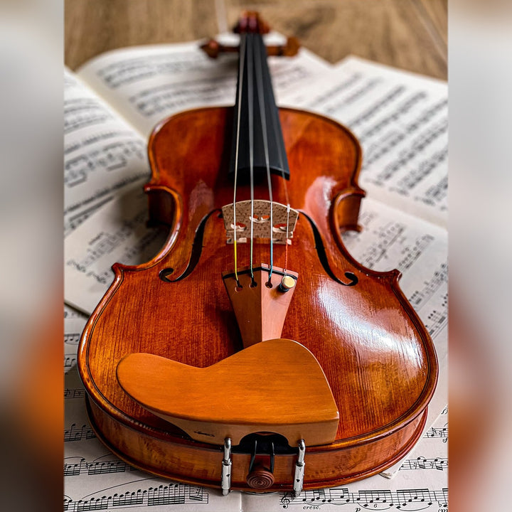 Berber Kinnhalter Violine Buchsbaum, ZK-269B