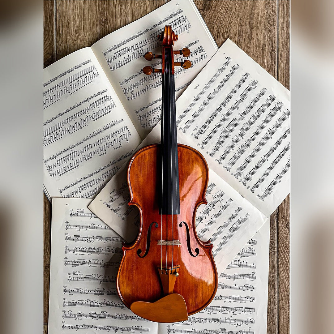 Berber Kinnhalter Violine Buchsbaum, ZK-269B