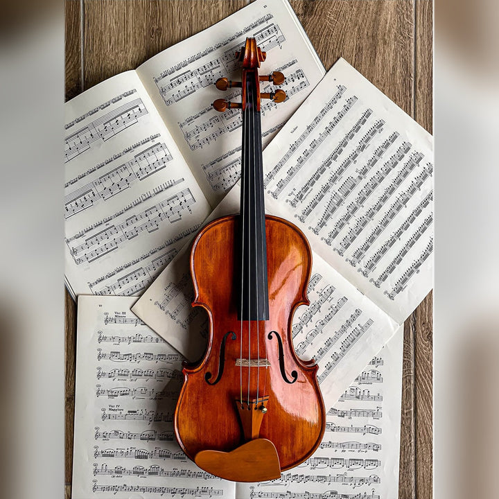 Berber Kinnhalter Violine Buchsbaum, ZK-269B
