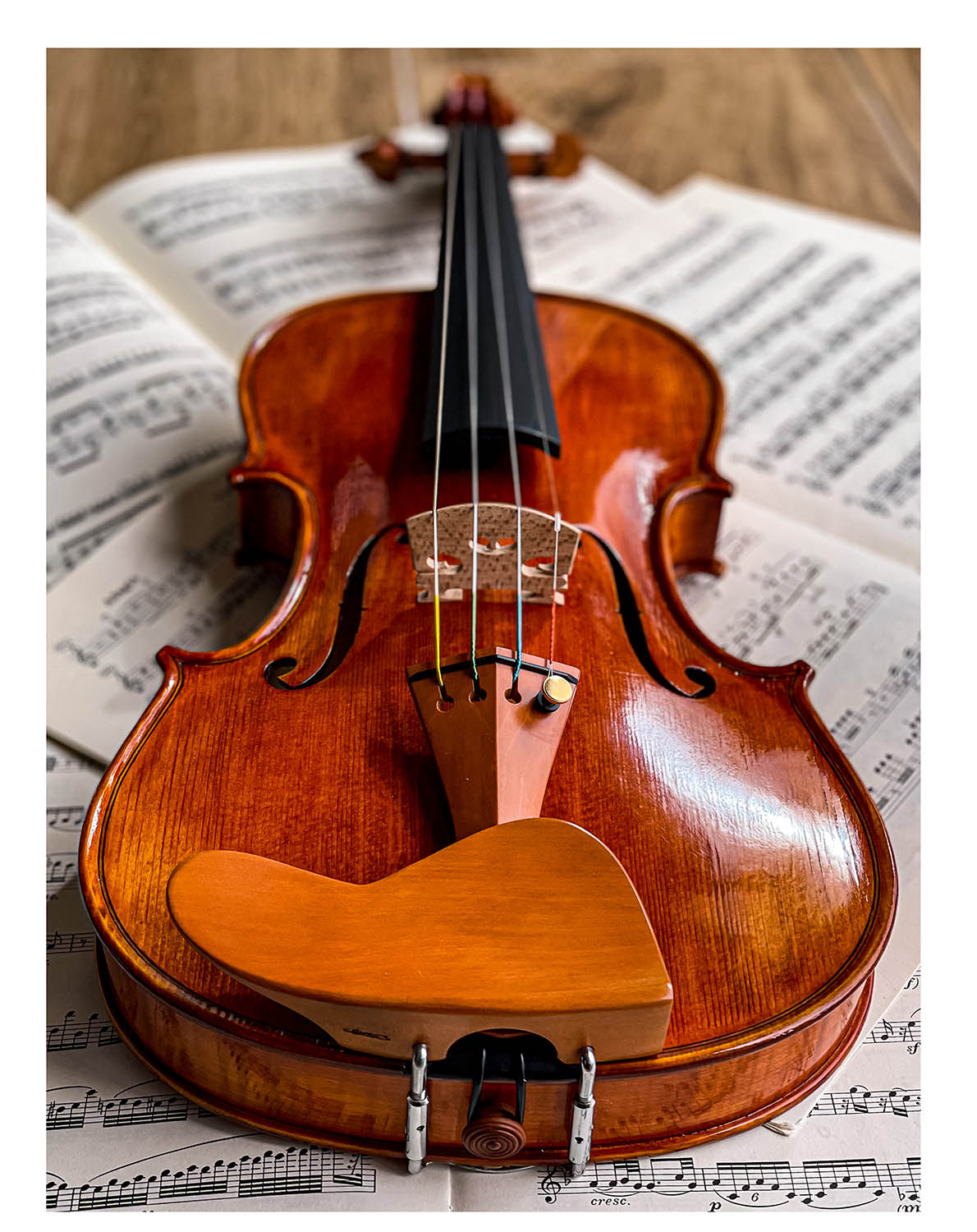 Berber Chinrest Violin 4/4 Boxwood, ZK-269B