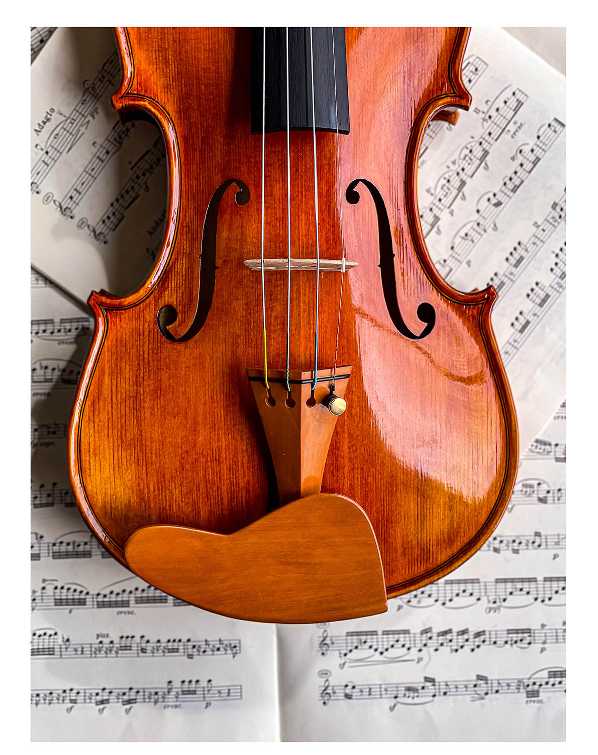 Berber Chinrest Violin 4/4 Boxwood, ZK-269B