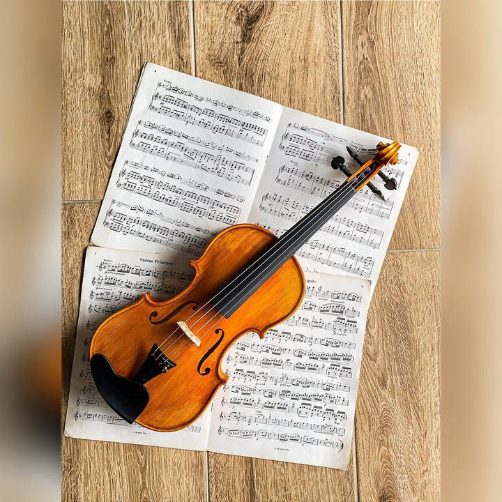 Berber Kinnhalter Violine Ebenholz, ZK-269