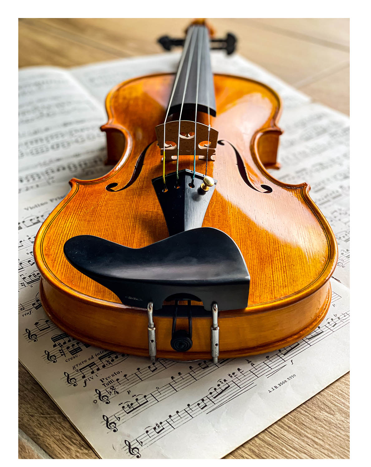 Berber Kinnhalter Violine Ebenholz, ZK-269
