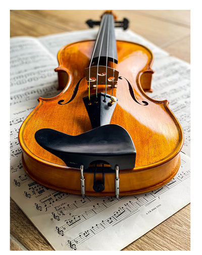 Berber Kinnhalter Violine Ebenholz, ZK-269