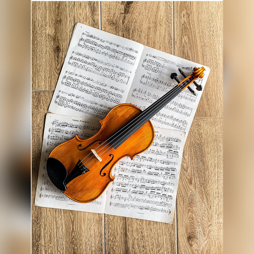 Vermeer Kinnhalter Violine 4/4 Ebenholz, ZK-281