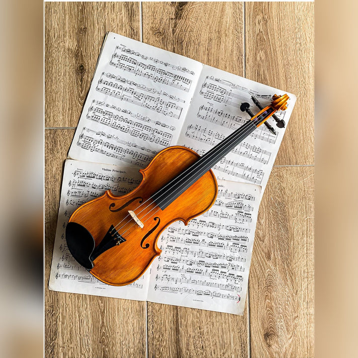 Vermeer Kinnhalter Violine 4/4 Ebenholz, ZK-281