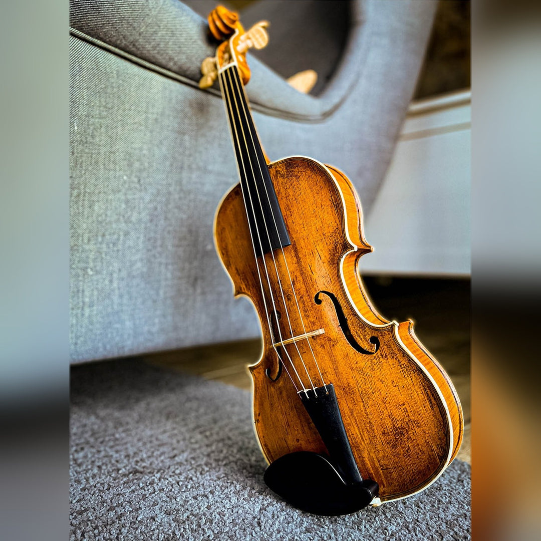 Vermeer Kinnhalter Violine 4/4 Ebenholz, ZK-281