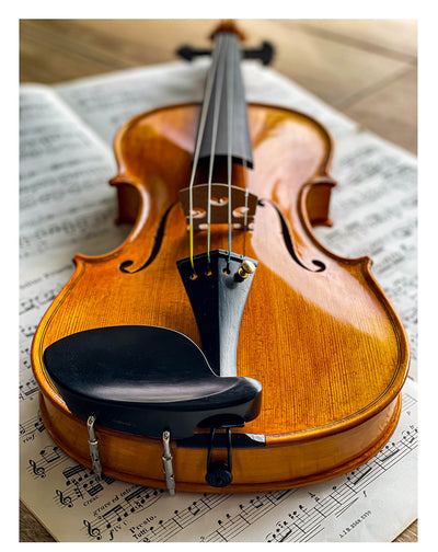 Vermeer Kinnhalter Violine 4/4 Ebenholz, ZK-281