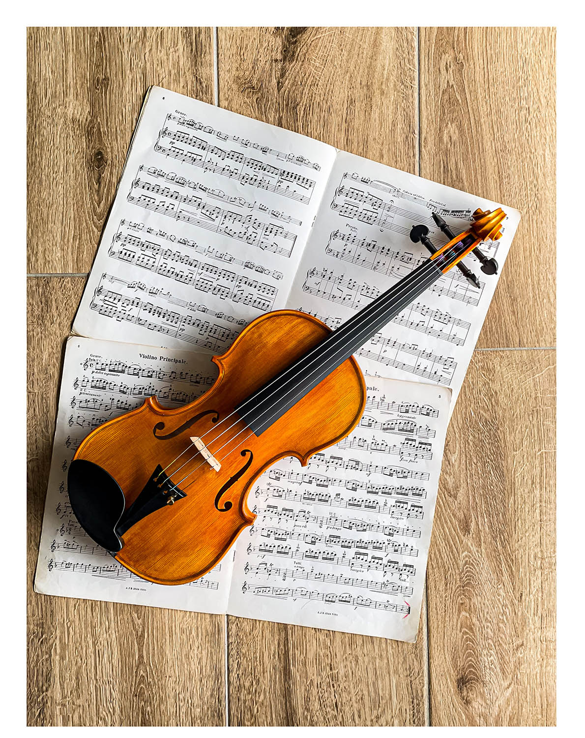 Vermeer Kinnhalter Violine 4/4 Ebenholz, ZK-281