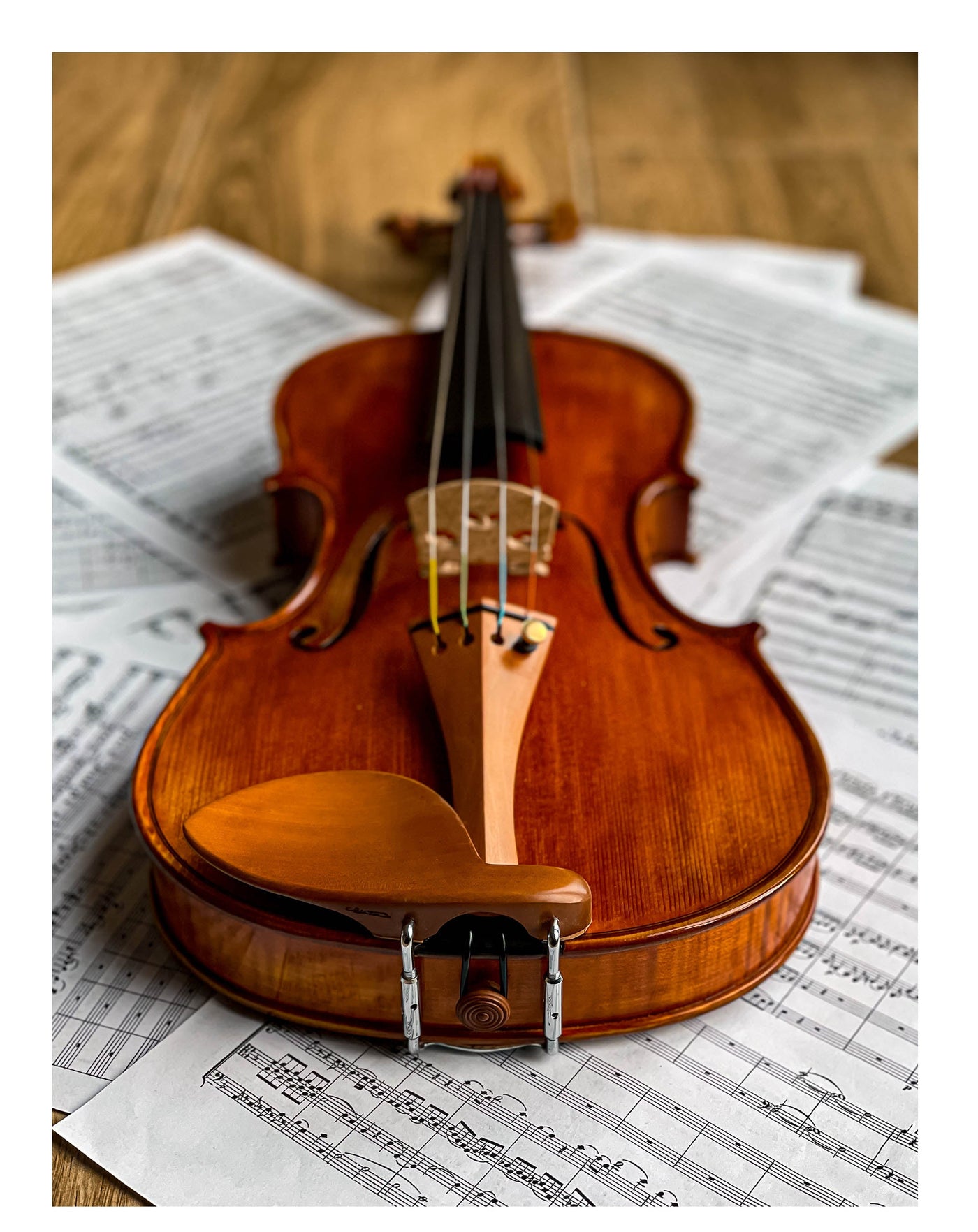 Jacob Kinnhalter Violine nat. Ebenholz/Buchsbaum/Palisander