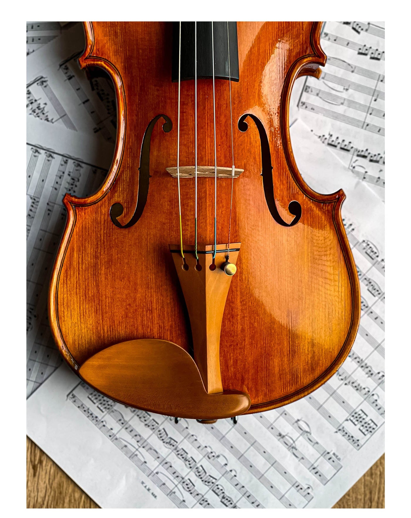 Jacob Kinnhalter Violine nat. Ebenholz/Buchsbaum/Palisander