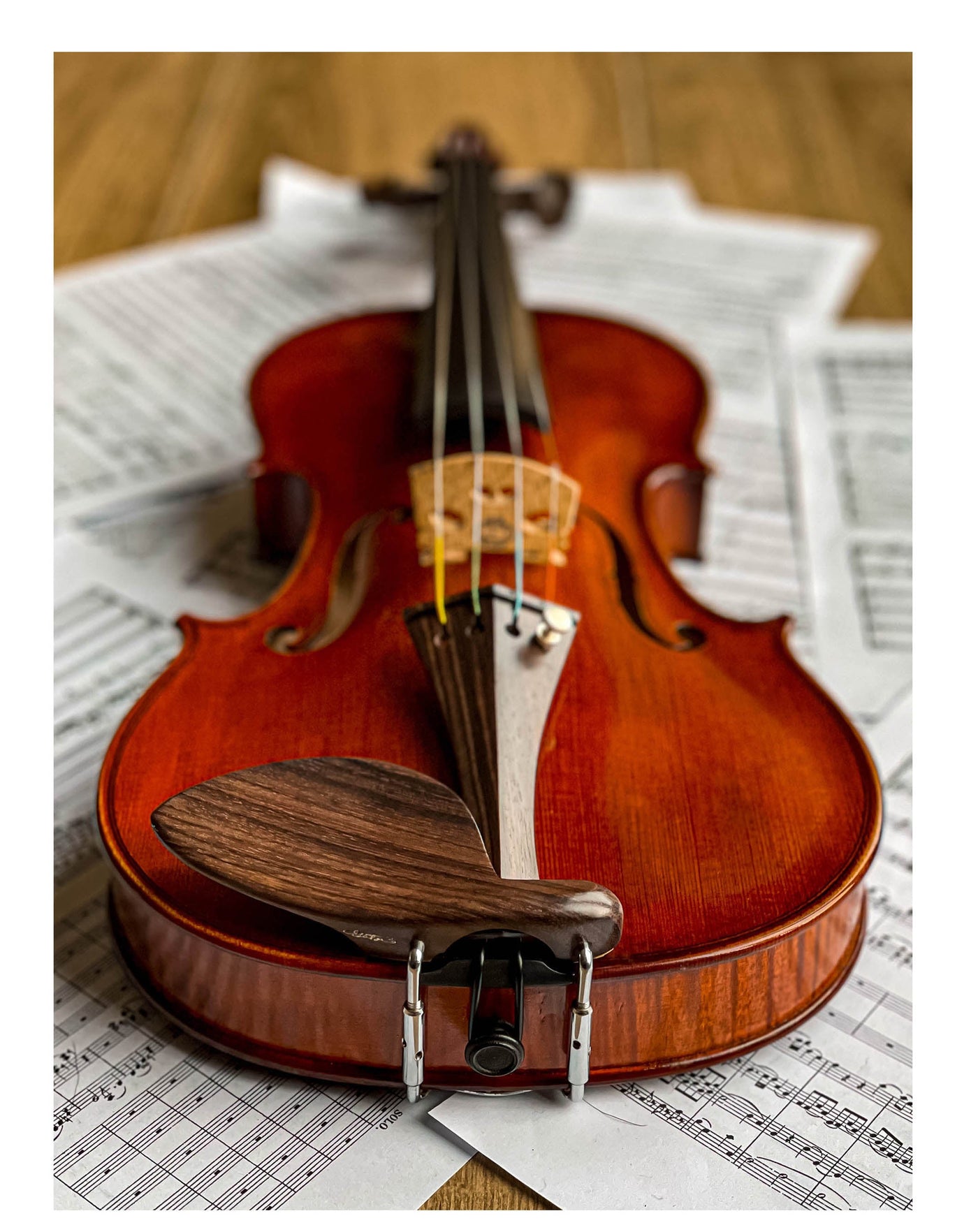 Jacob Kinnhalter Violine nat. Ebenholz/Buchsbaum/Palisander