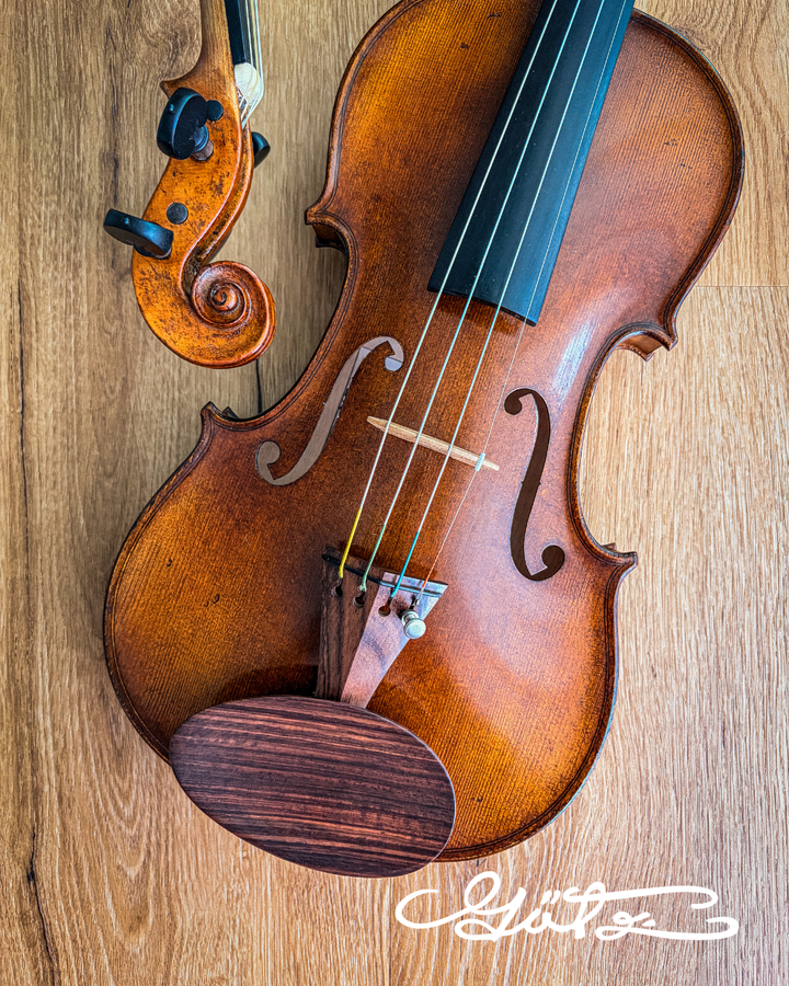 Slim Style Kinnhalter Violine Palisander, ZK-255