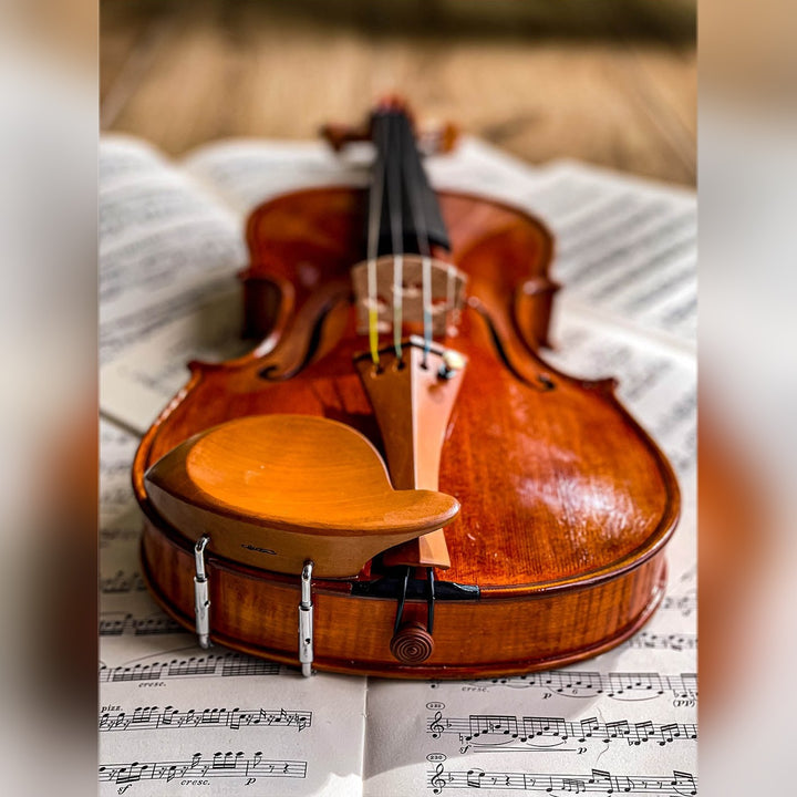 Stüber Chinrest Violin 4/4 in Boxwood, ZK-303