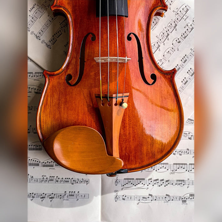 Stüber Chinrest Violin 4/4 in Boxwood, ZK-303