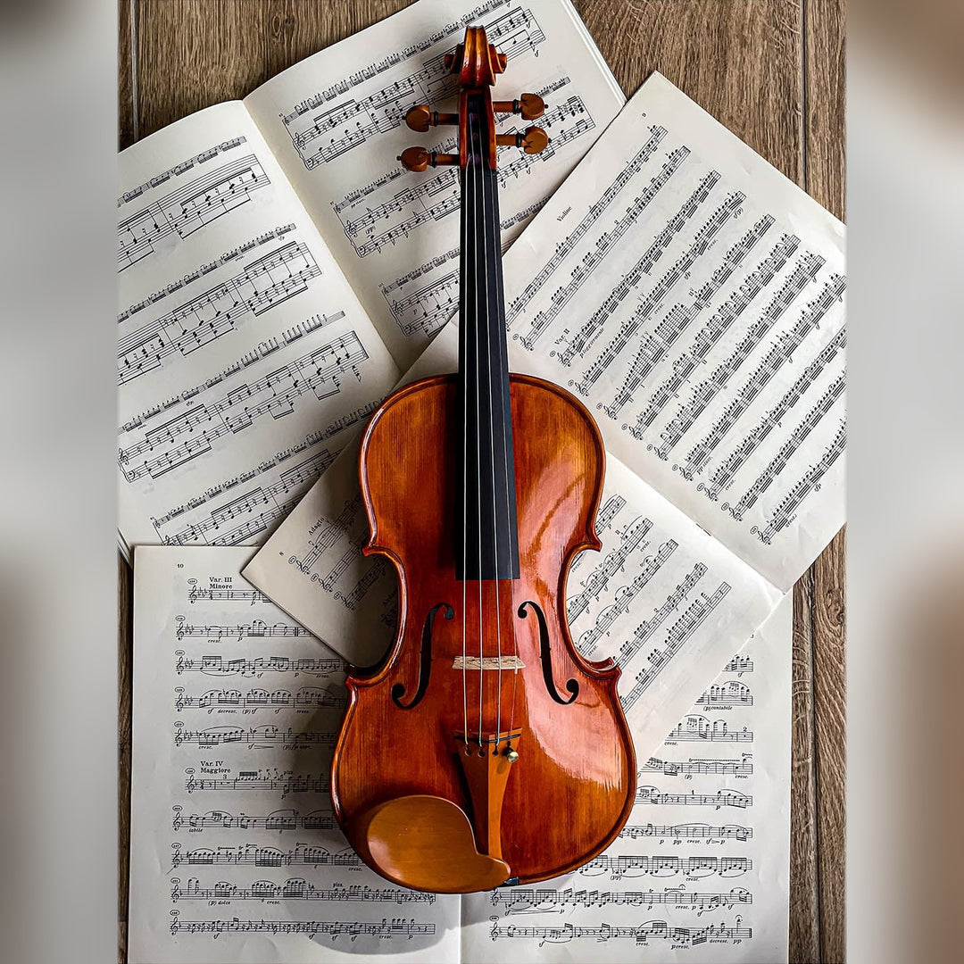 Stüber Chinrest Violin 4/4 in Boxwood, ZK-303