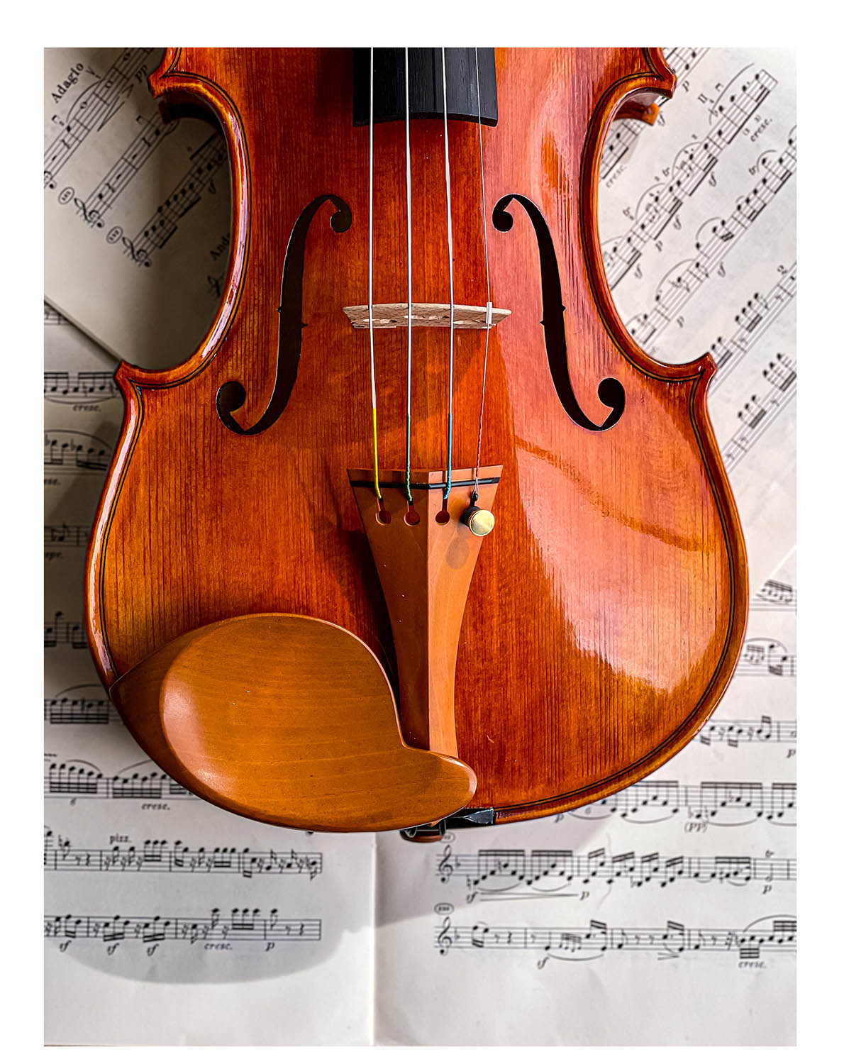 Stüber Kinnhalter Violine Buchsbaum, ZK-303