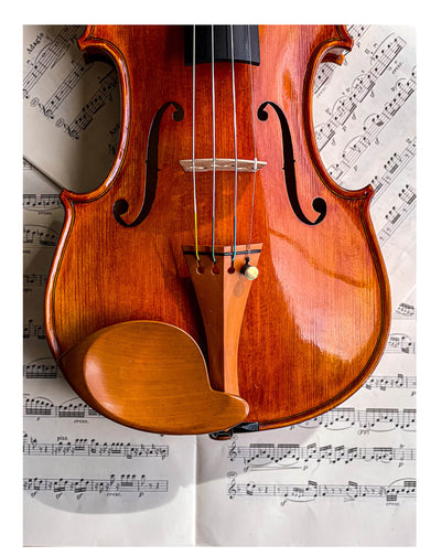 Stüber Kinnhalter Violine Buchsbaum, ZK-303
