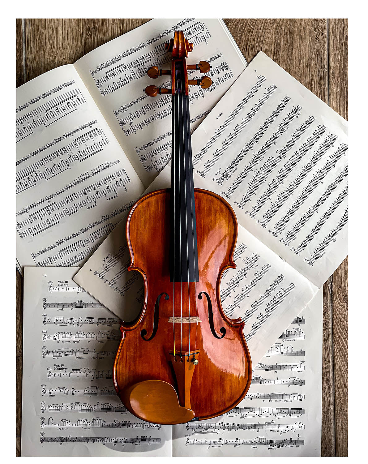 Stüber Kinnhalter Violine Buchsbaum, ZK-303