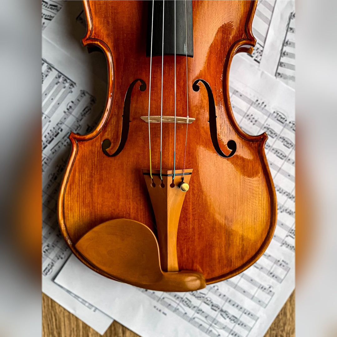 Stradivari Kinnhalter Violine Buchsbaum, ZK-305