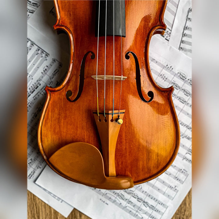 Stradivari Kinnhalter Violine Buchsbaum, ZK-305