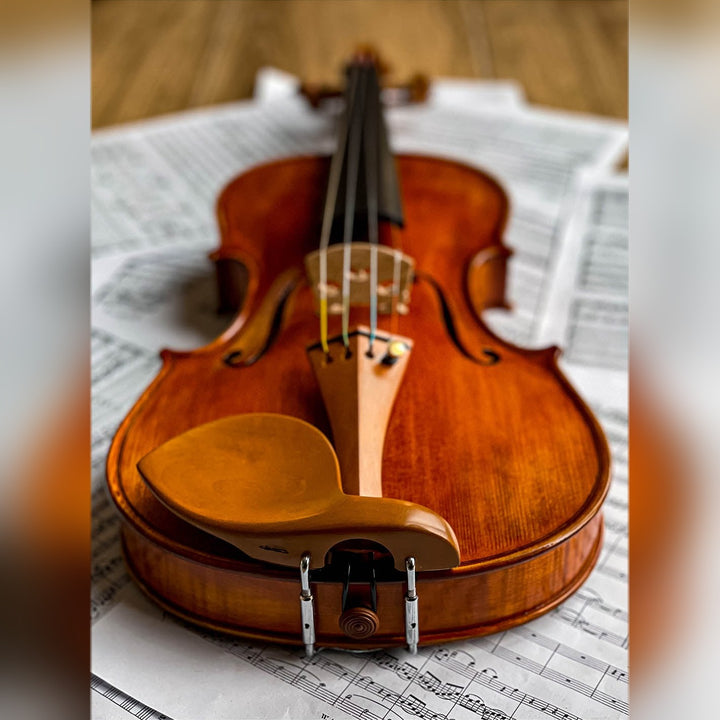 Stradivari Kinnhalter Violine Buchsbaum, ZK-305