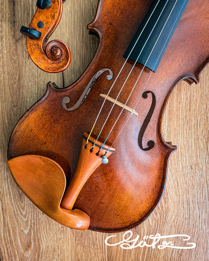 Stradivari Kinnhalter Violine Buchsbaum, ZK-305