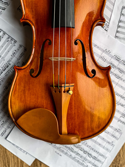 CANTONATE Violine #130 CA