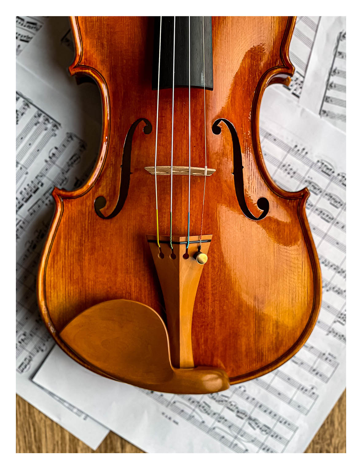 Stradivari Kinnhalter Violine Buchsbaum