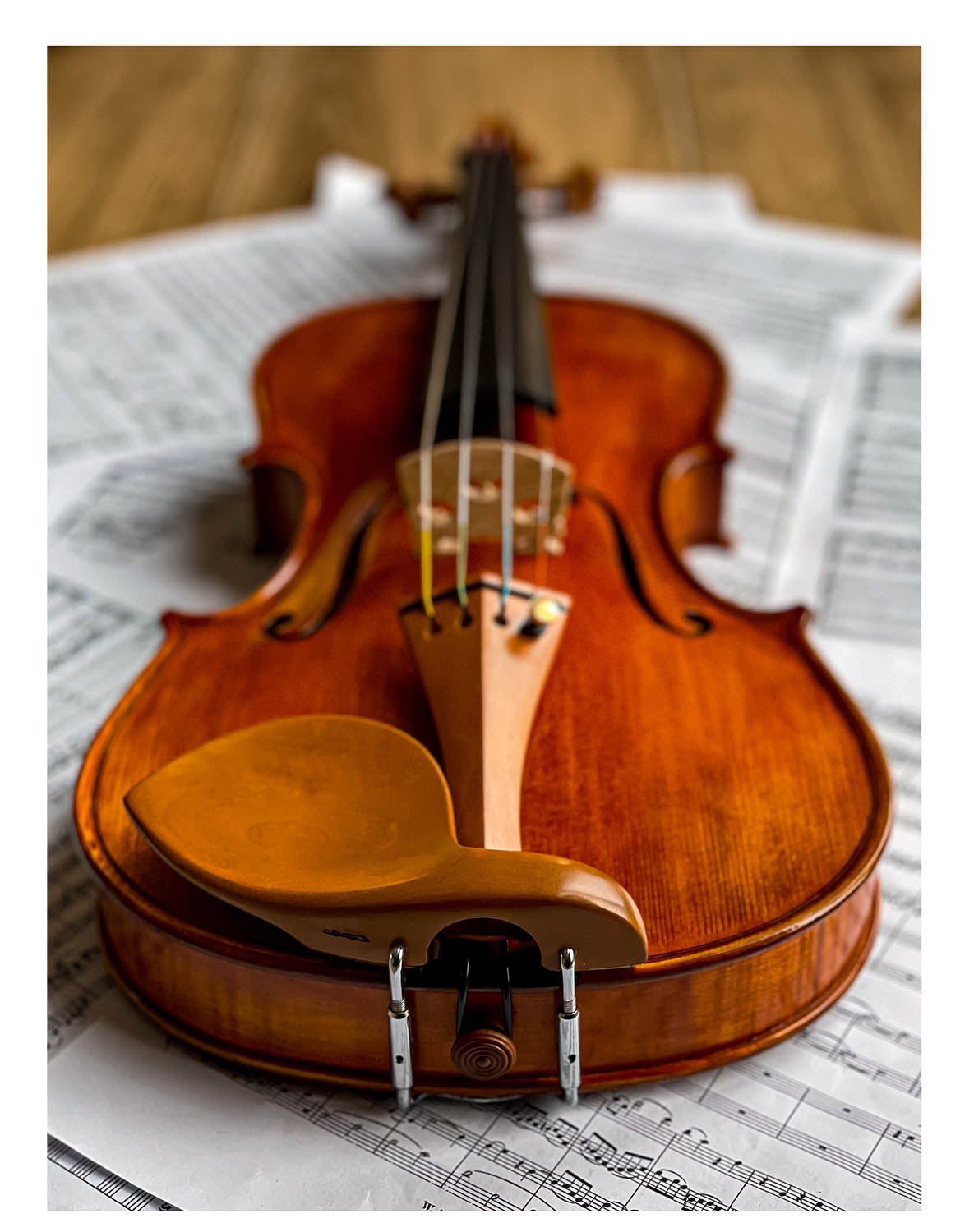 Stradivari Kinnhalter Violine Buchsbaum
