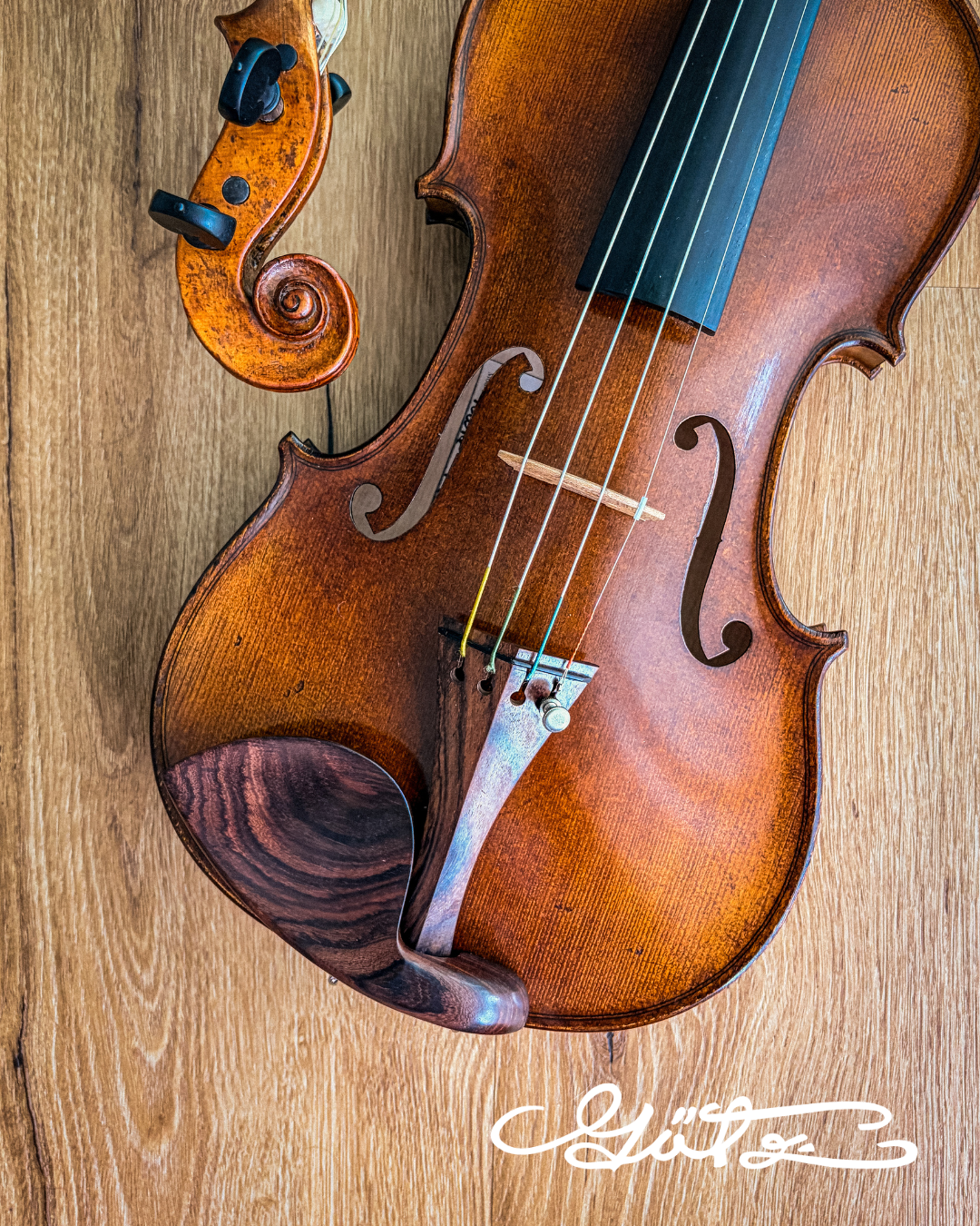 Stradivari Kinnhalter Violine Palisander, ZK-307