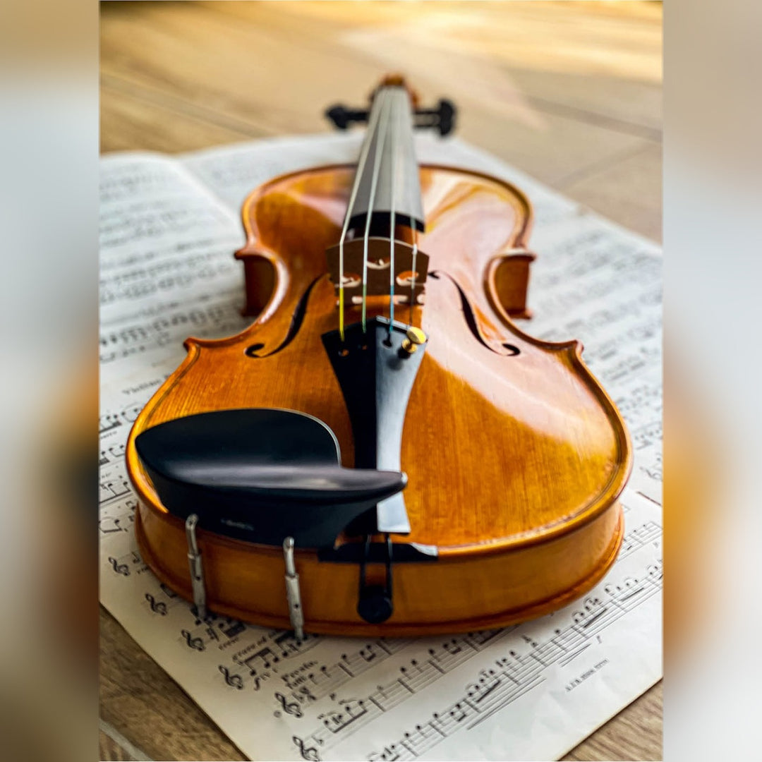Hamburg Chinrest Violin 4/4 in Ebony, ZK-4253