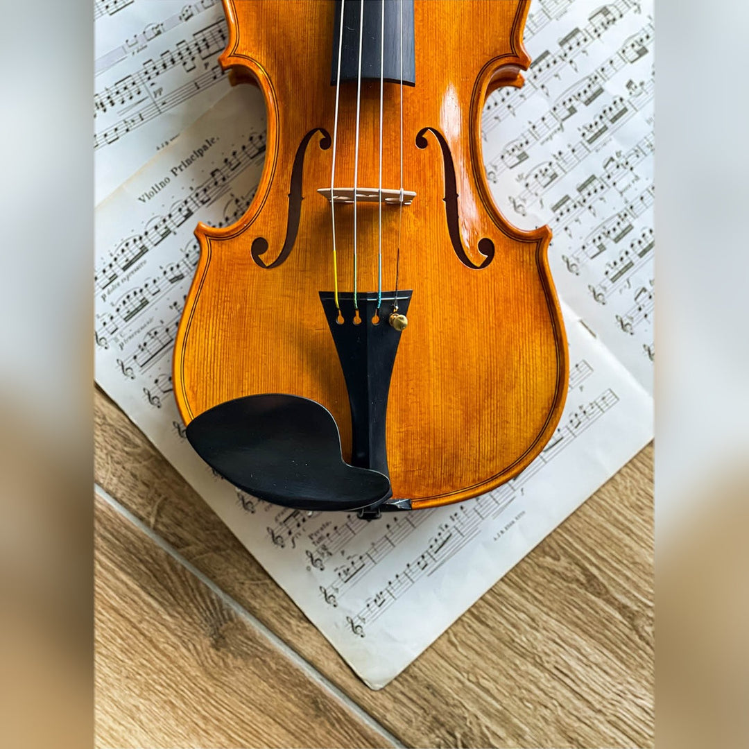 Hamburg Chinrest Violin 4/4 in Ebony, ZK-4253