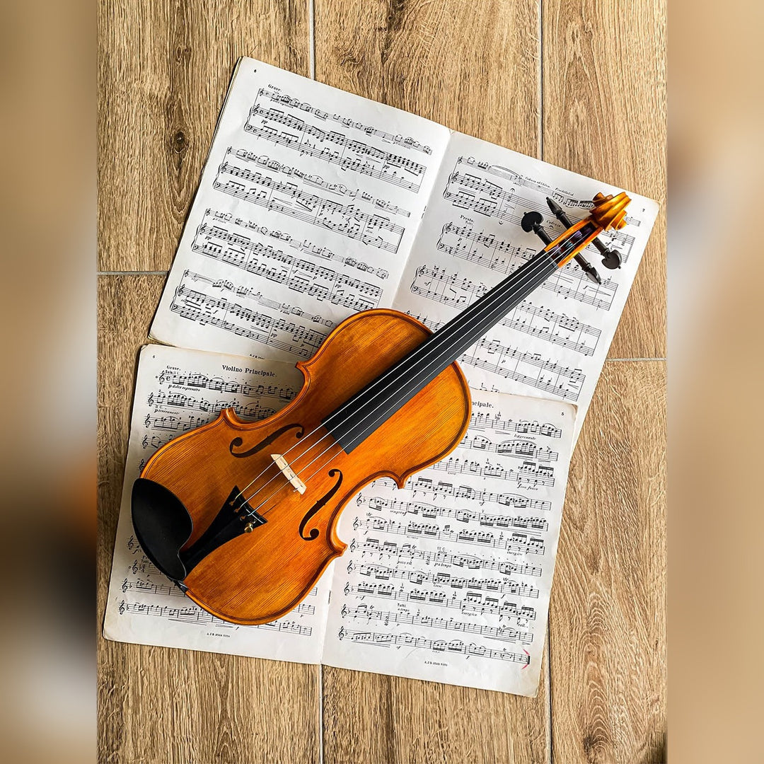 Hamburg Chinrest Violin 4/4 in Ebony, ZK-4253