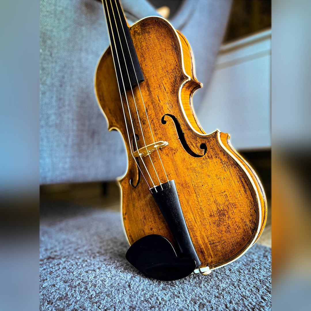 Hamburg Chinrest Violin 4/4 in Ebony, ZK-4253