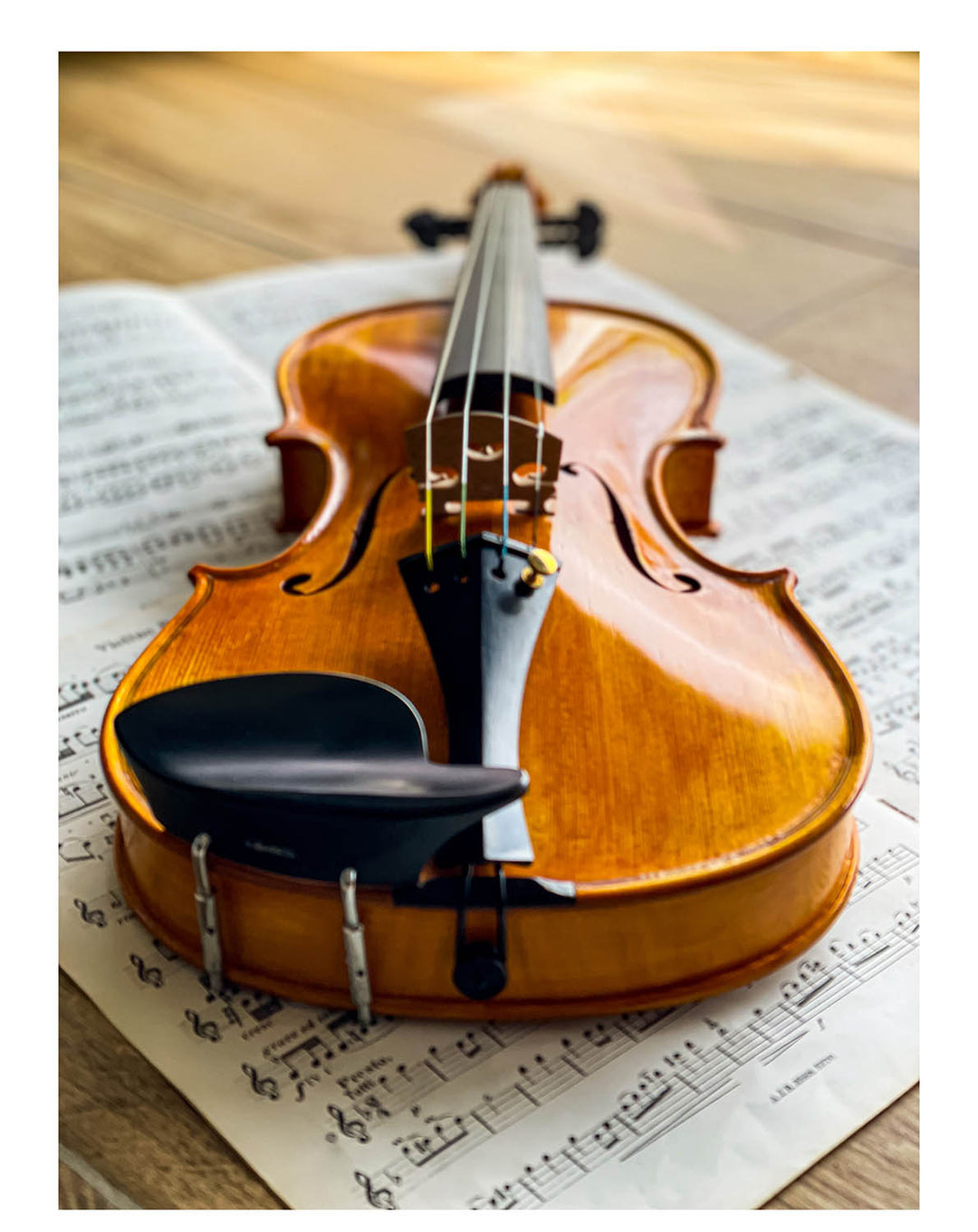 Hamburg Kinnhalter Violine Ebenholz