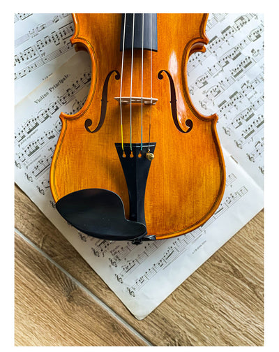 Hamburg Chinrest Violin 4/4 in Ebony, ZK-4253