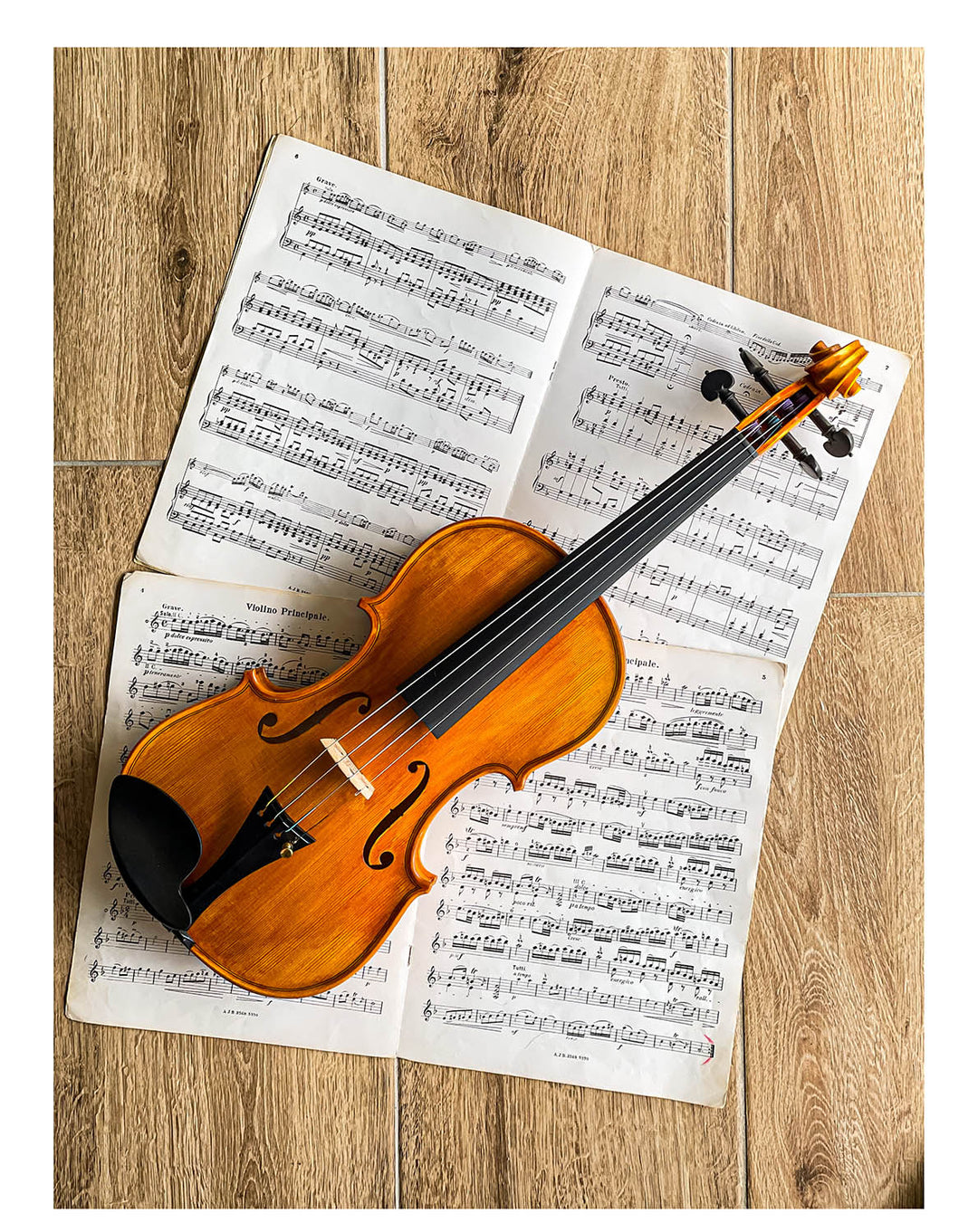 Hamburg Kinnhalter Violine Ebenholz